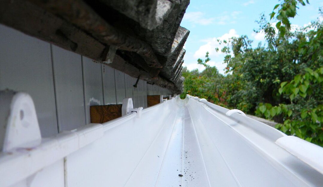 Gutter Maintenance Bayswater — Protect Your Home from Water Damage