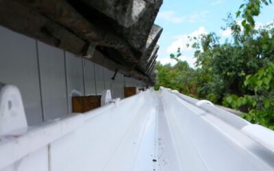 Gutter Maintenance Bayswater — Protect Your Home from Water Damage